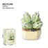 Desert Green/White Succulent Flower Plant 335-Piece Building Brick Toy Set (1248) - LEGO Compatible
