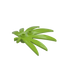 Plant, Large Finger Leaf (6 x 5) - Official LEGO® Part