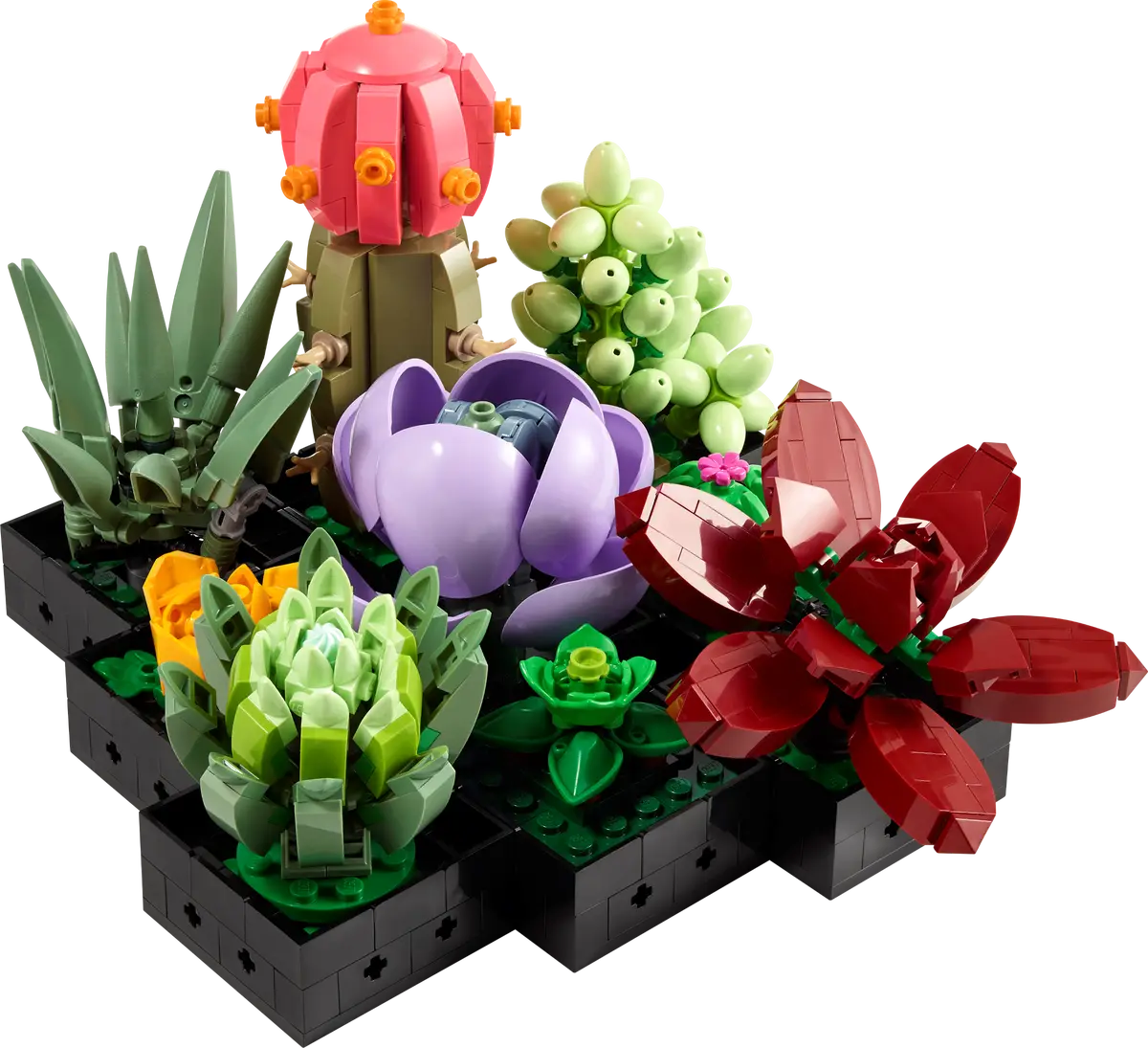 LEGO Botanicals Succulents Set (10309)