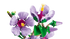 LEGO Botanicals Hibiscus Set (10372)