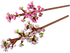 LEGO Cherry Blossoms Set (40725)
