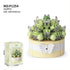 Green Grower Succulent Flower Plant 323-Piece Building Brick Toy Set (1254) - LEGO Compatible