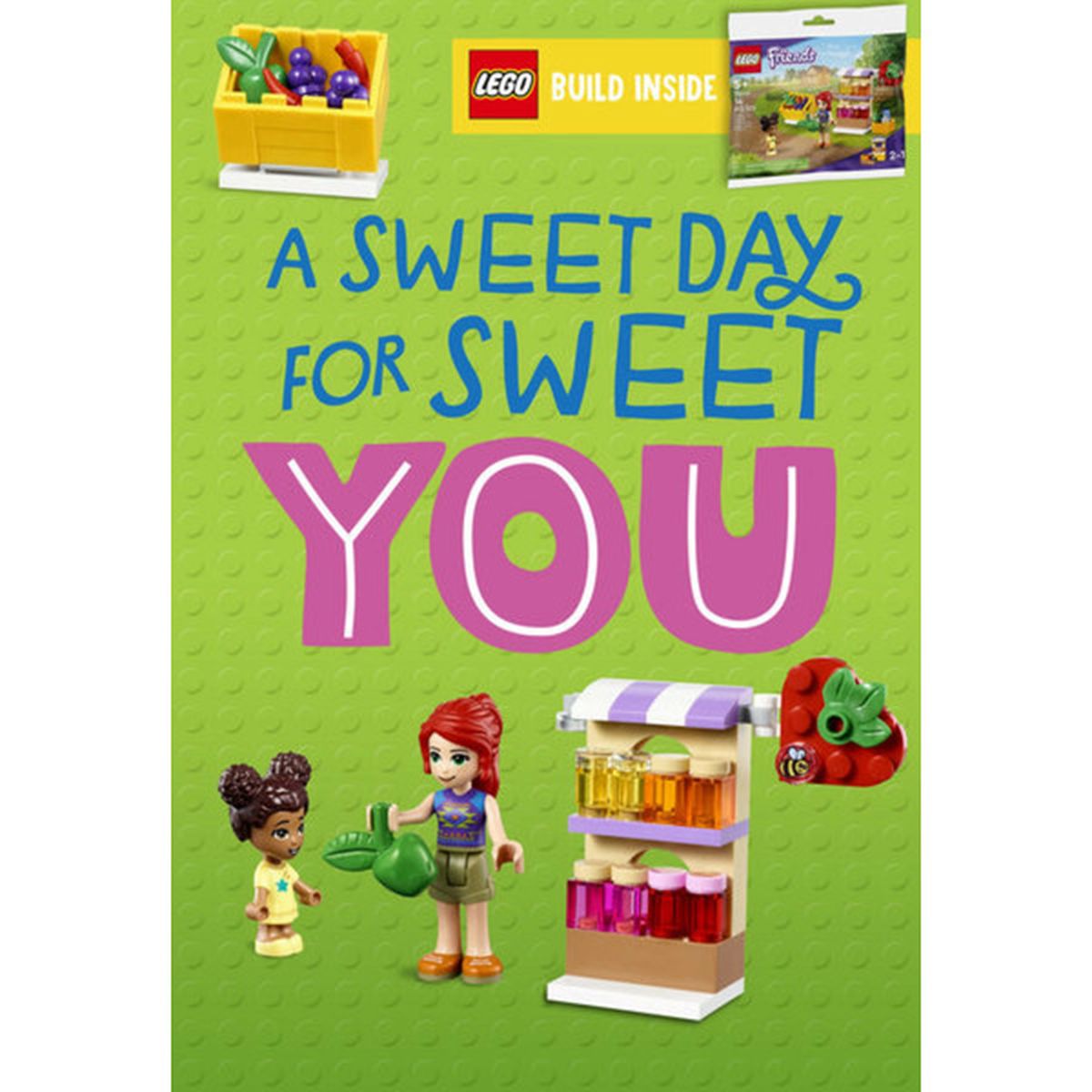LEGO Hallmark Friends Card with 30416 Polybag included