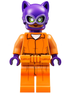 Catwoman (LEGO Batman Movie, Prison Outfit) - LEGO DC Comics Minifigure (2017)